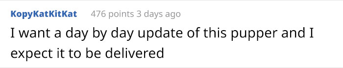 Puppy Rescued By Ukrainian Soldiers Becomes A Trusty Watchdog