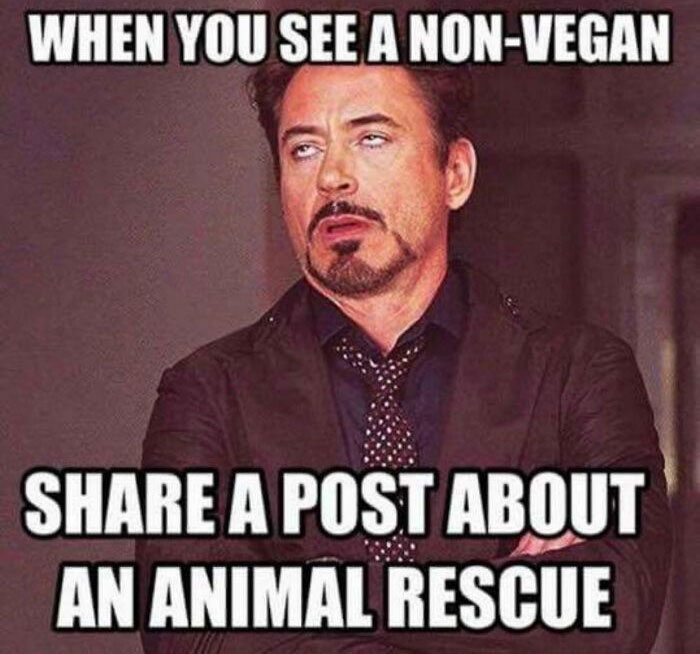Apparently You Have To Be A Vegan To Post About An Animal Rescue