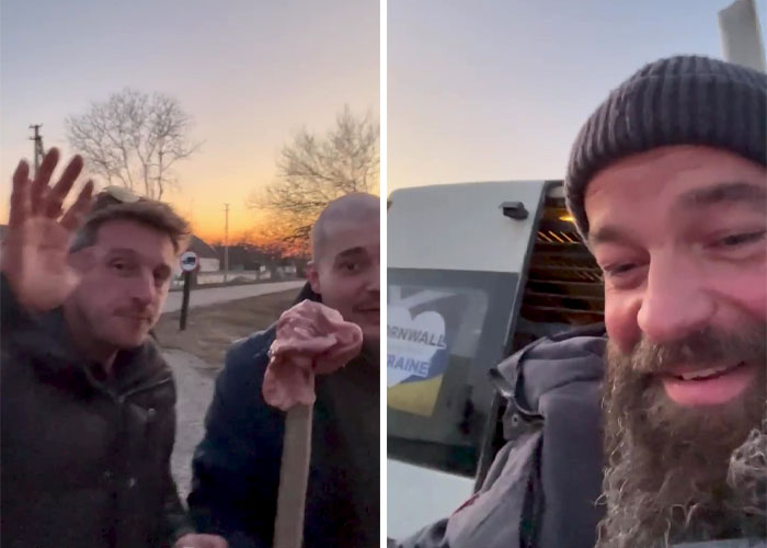 Un león y un lobo son transportados con grúa a una miniván conducida por 3 británicos para salvarlos