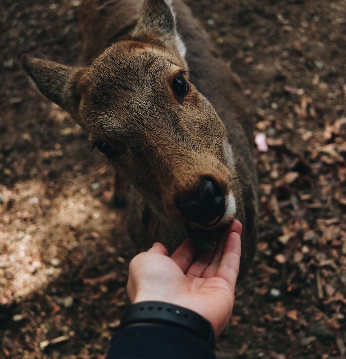 People Share 30 Things You Should Never Do In Canada