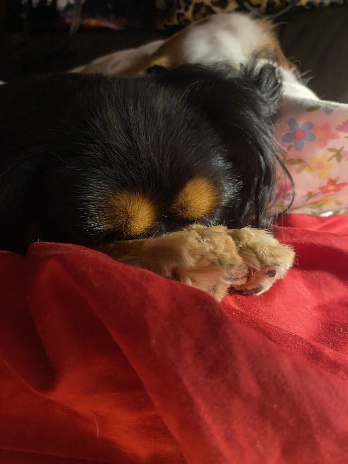 Rylee. Must Be To Bright. She Covered Her Eyes Up.