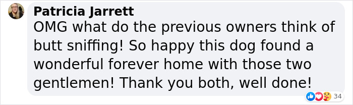 Homophobic Owner Abandons &lsquo;Gay&rsquo; Puppy Who Later Gets Taken In By Gay Couple