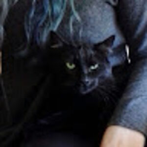 robinmcmurchie avatar