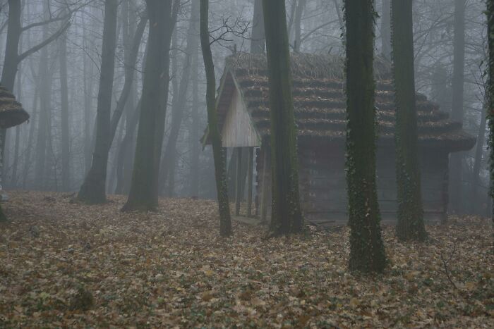 My Son Took A Picture Of A Little Cottage Near Lviv, Ukraine I Thought You Might Enjoy