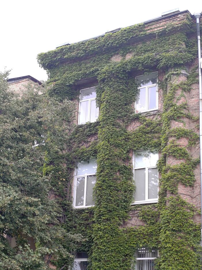 Just An Office At Kyiv