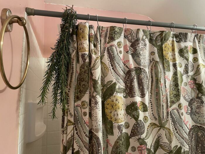 El romero se volvió loco en el jardín - Así que estoy usando ramitas para refrescar el cuarto de baño - El vapor de la ducha acentúa el olor manteniendo el cuarto de baño con un olor fresco