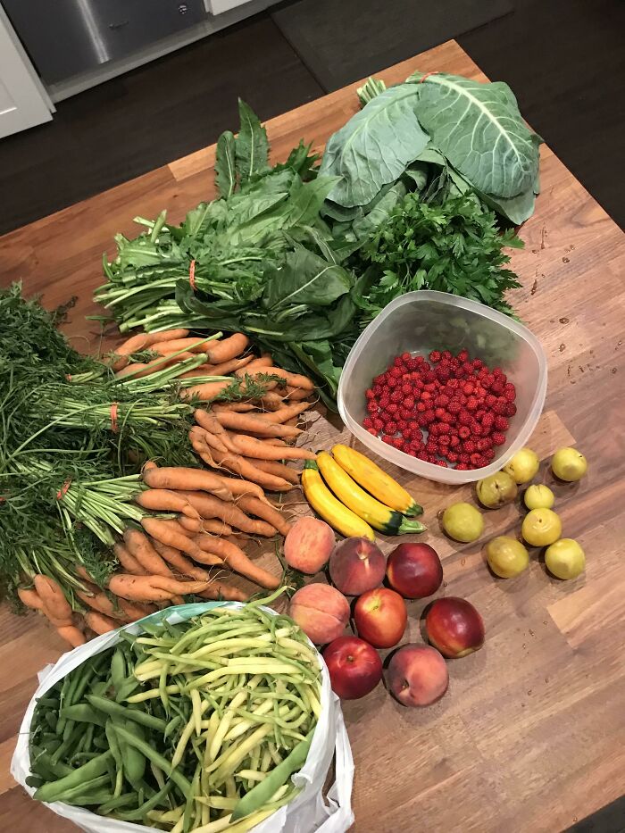 Everyone Needs To Know This! If You Work At The Local Farmers Market, You Will Get Tons Of Free Food