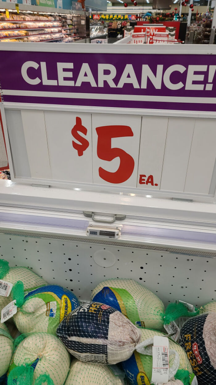 Turkeys Post-Thanksgiving