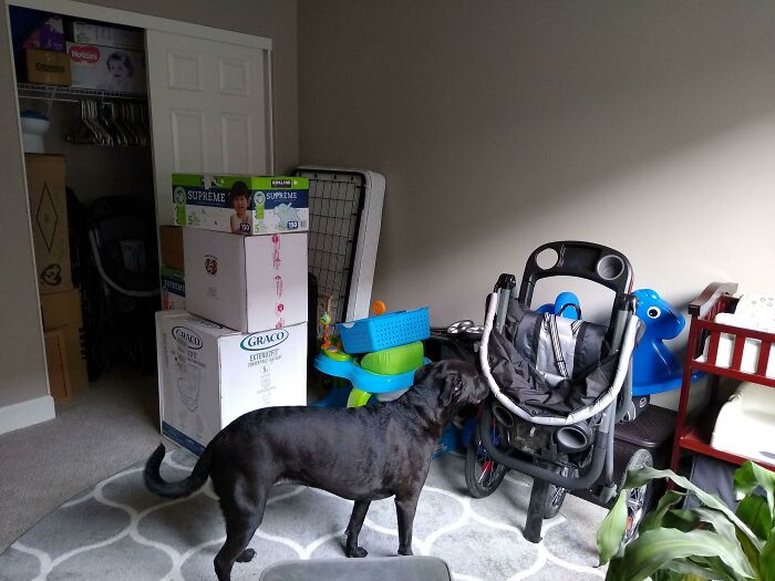 My Frugal Wife Isn't Even Pregnant, But She's Not About To Turn Down Hand-Me-Downs From Her Sister