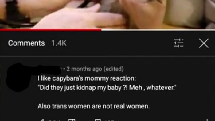 Why Did You Feel The Need To Edit This Into The Comment?