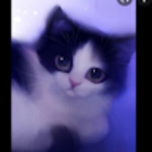 chescadeniseyu avatar