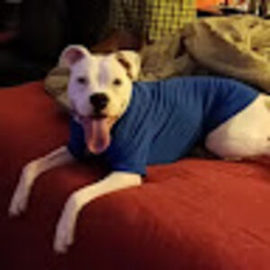 angelacoleman-kelly avatar