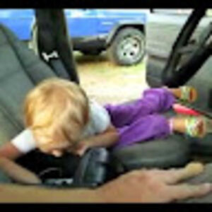 joshreynolds_1 avatar