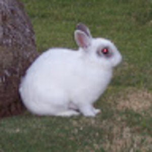 reathayrizarry avatar