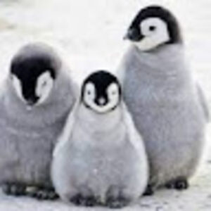 caitlinbarnes avatar