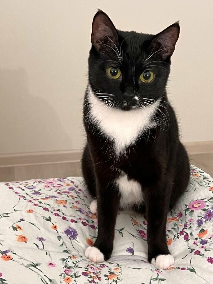 "7 Days Ago Everything Changed": This Is What It's Like To Live In The Kyiv Bomb Shelter When You’re A Cat "7 Days Ago Everything Changed": This Is What It's Like To Live In The Kyiv Bomb Shelter When You’re A Cat