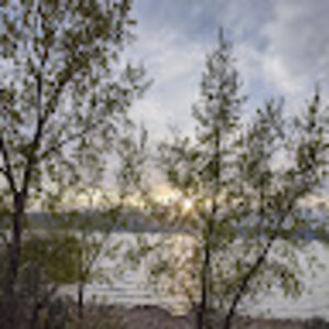 whitneystevens avatar