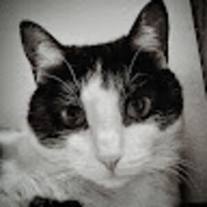 markrichards_1 avatar