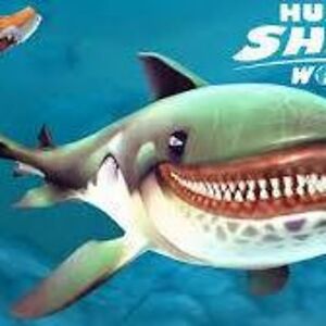 hungrysharkaddict avatar