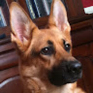 monicasmith_1 avatar