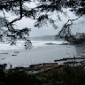 elizabethcurrie avatar