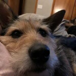 tammymcclain15 avatar