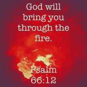 intothedark1978 avatar