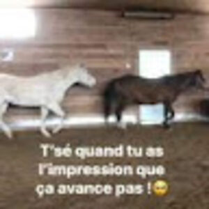 lili-annesirois avatar