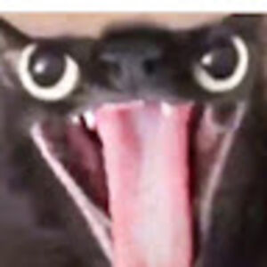 brettthompson avatar