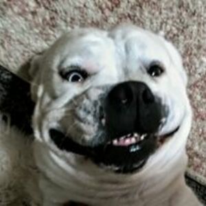 trinajonesemail avatar