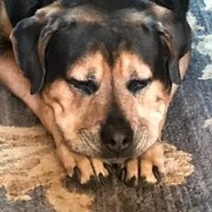 denise_denise avatar