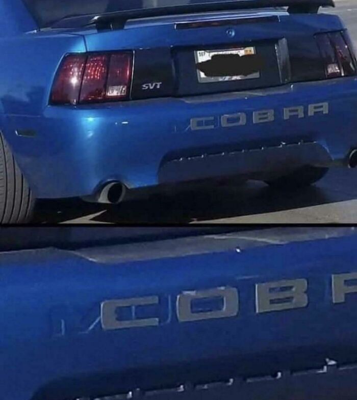 The Mustang Equivalent Of Putting Fake M Badges