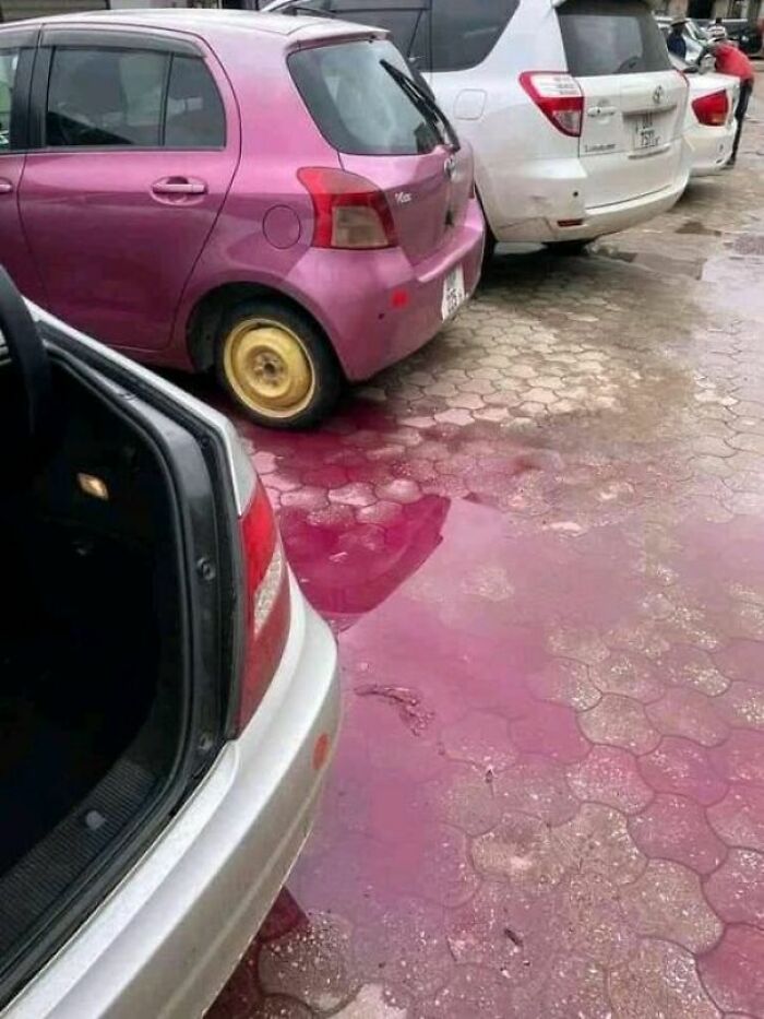 “I Know A Guy Who Knows A Guy”