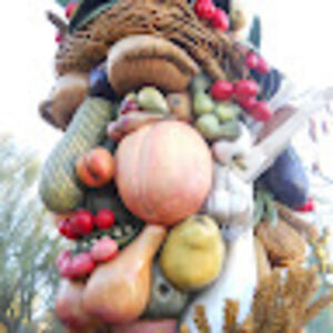 lorettaknoche avatar