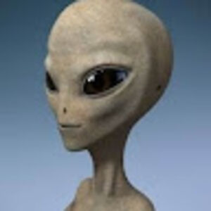 roddypfeiffer avatar