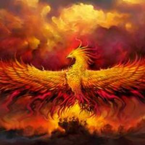 onpoint_crespo avatar