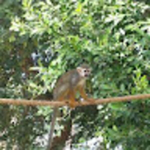 michaelcoley_1 avatar