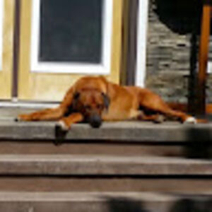 gregorybokenfohr avatar