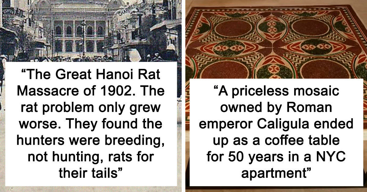 49 Wild Facts That Prove It’s Never Too Late To Learn Something New