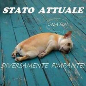 bollettamonia avatar