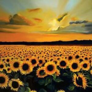 bluehawkdesignstudios avatar