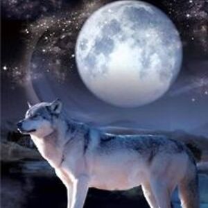 peaceful83200124 avatar