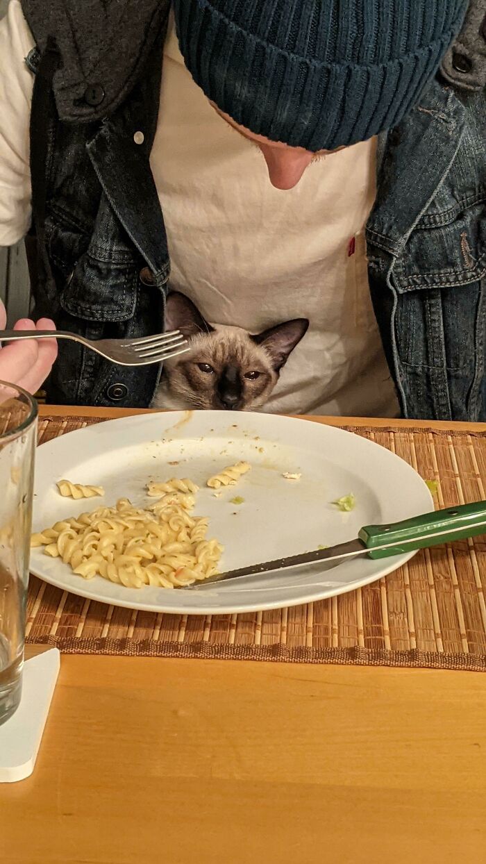 Crying Because He's Not Allowed To Eat Our Food