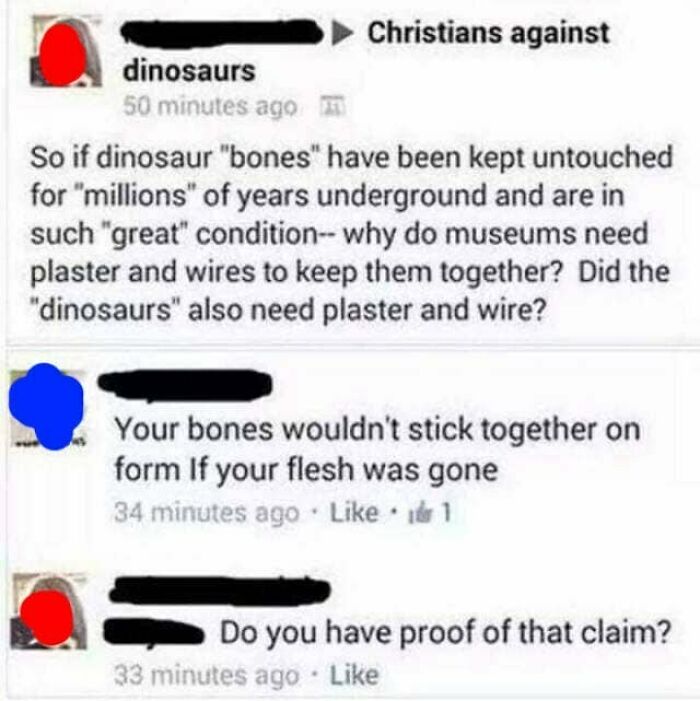 On Dinosaurs