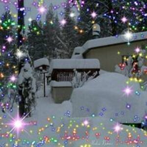 livingattrailsend avatar