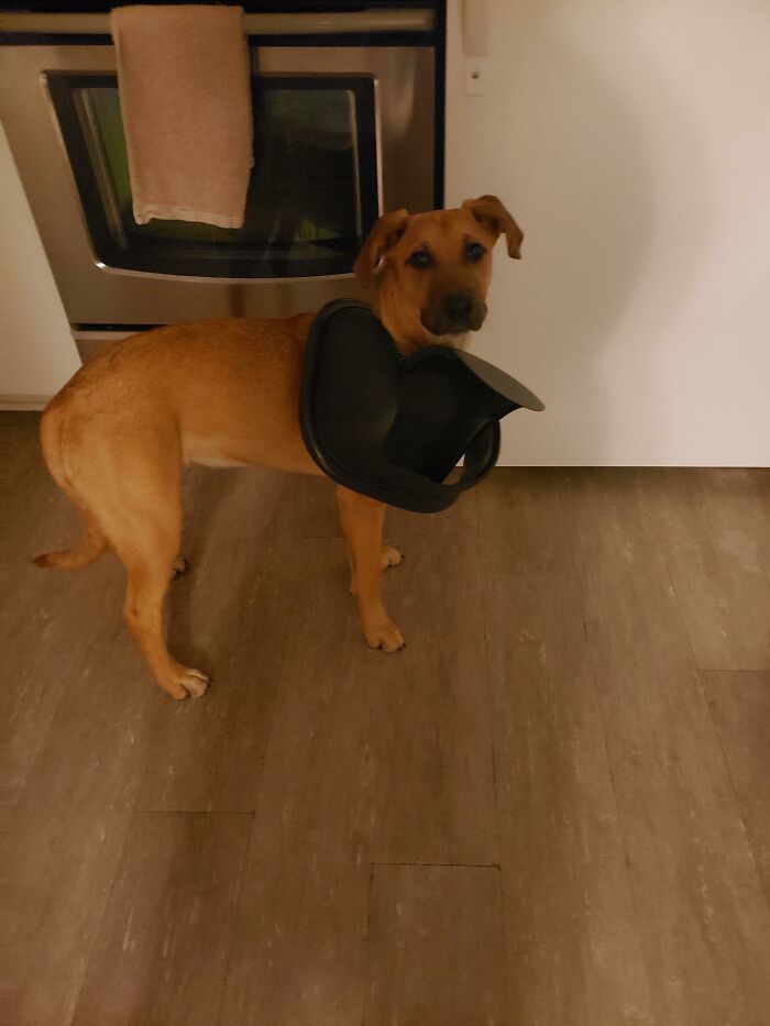 Worst. Coworker. Ever. Busted