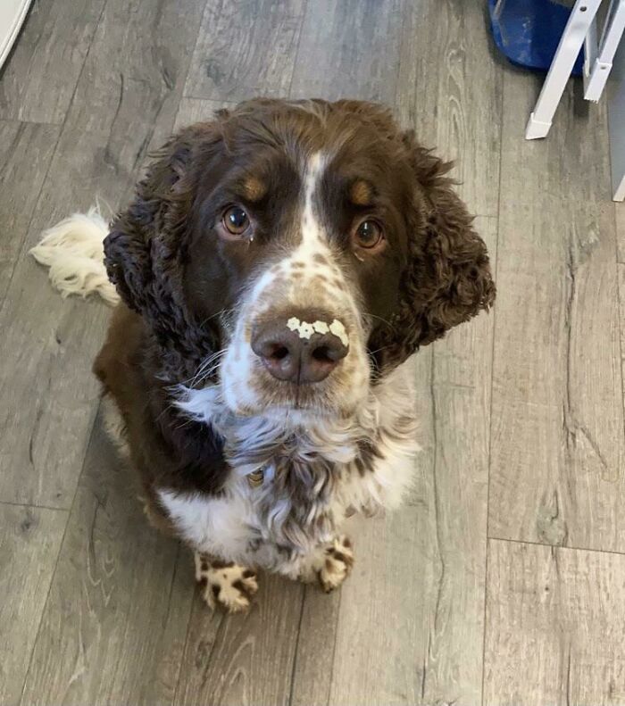 I Think I Found The Pasta Thief