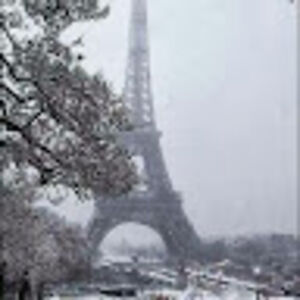 katrinabartelt avatar