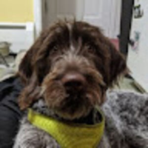 zacherybarberio avatar