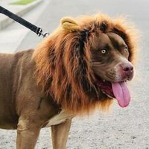 lewisedwardsonnew avatar